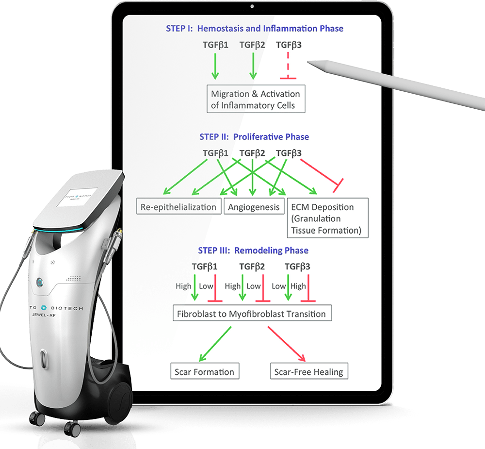 Medical device and healing phases diagram.