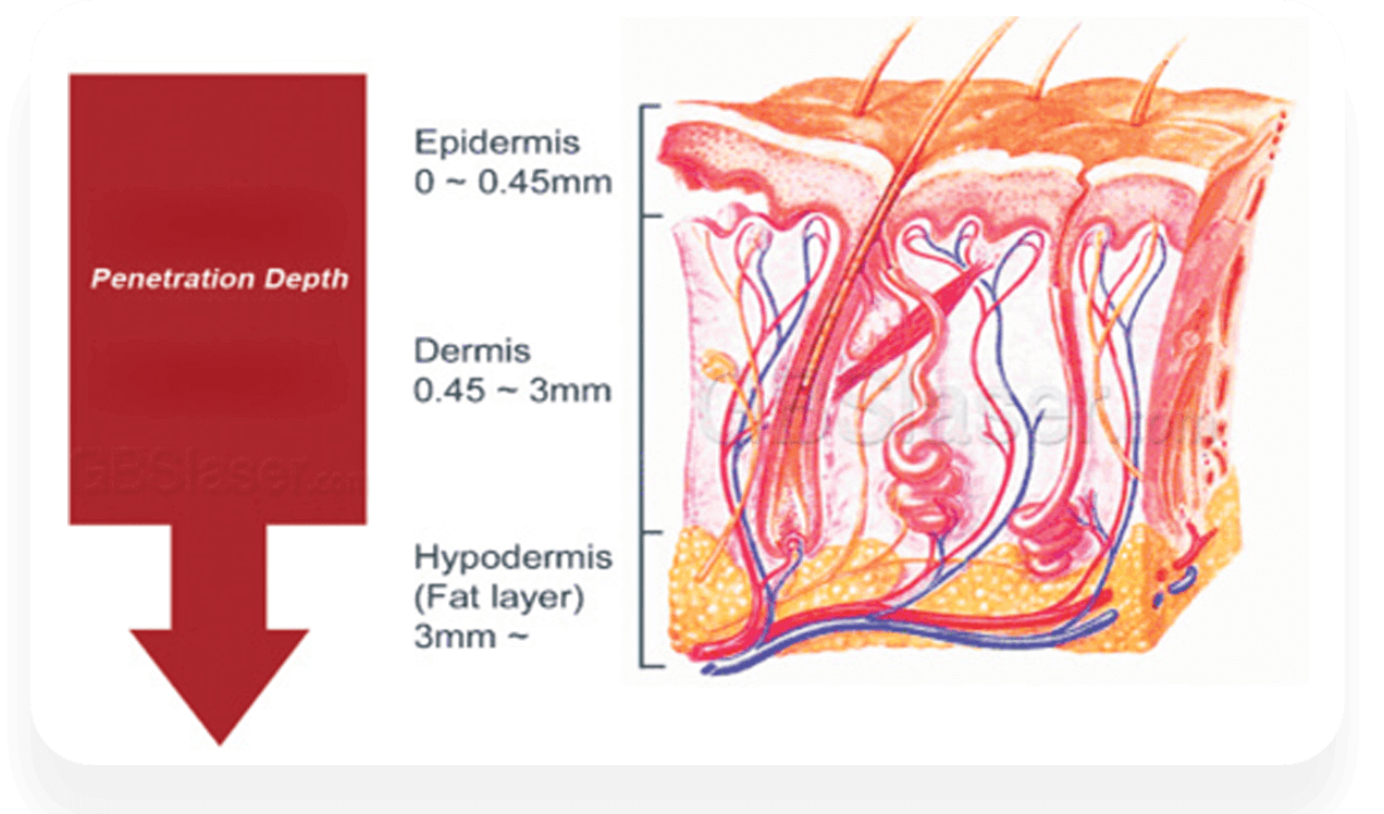 Skin layers diagram with penetration depth.